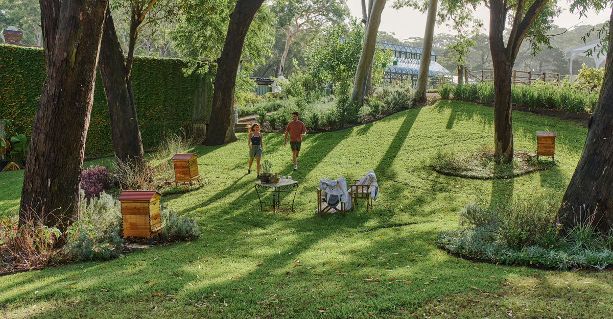 Couple enjoys harvesting honey at Murray's Craft Brewing Co. at The B Farm Estate by Murray’s – a curious, quirky and whimsical estate filled with artisan wares and warm and friendly hospitality and our home amongst the vines on the shores of the Port Stephens Great Lakes Marine Park.