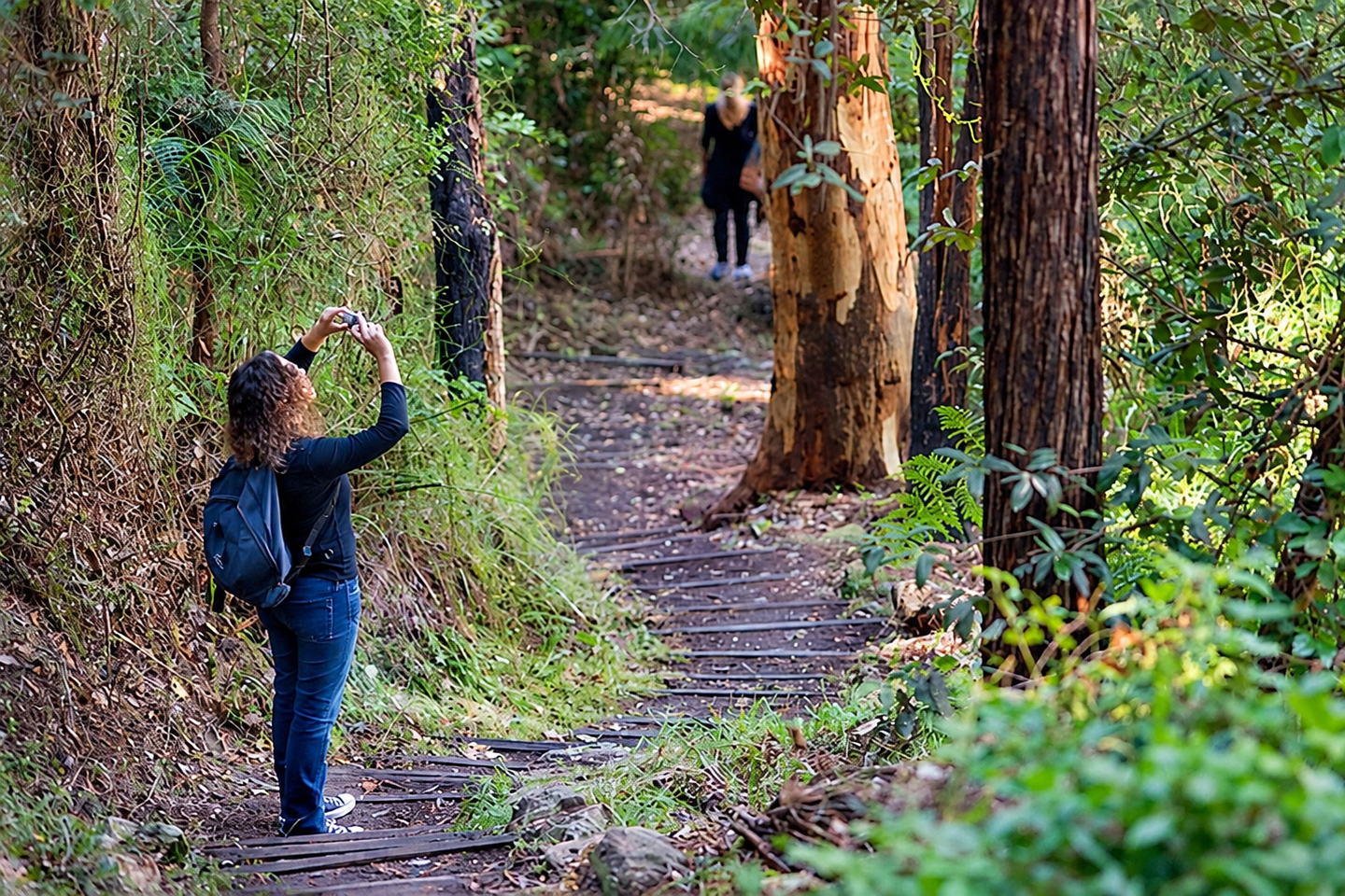 Walkers exploring the Nepean River walking track through bushland.