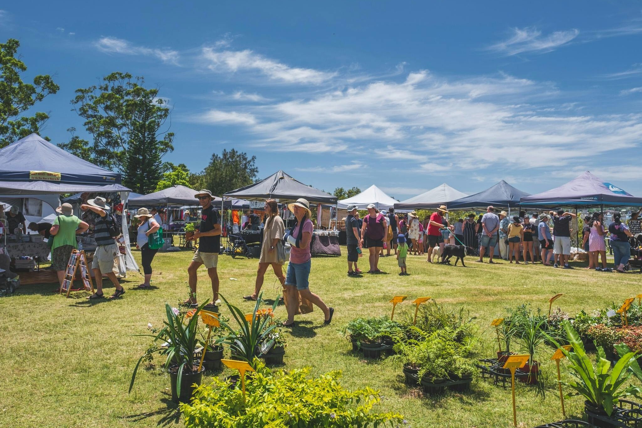Visitors browsing outdoor stalls and plant displays at the Laurieton Riverwalk Markets.