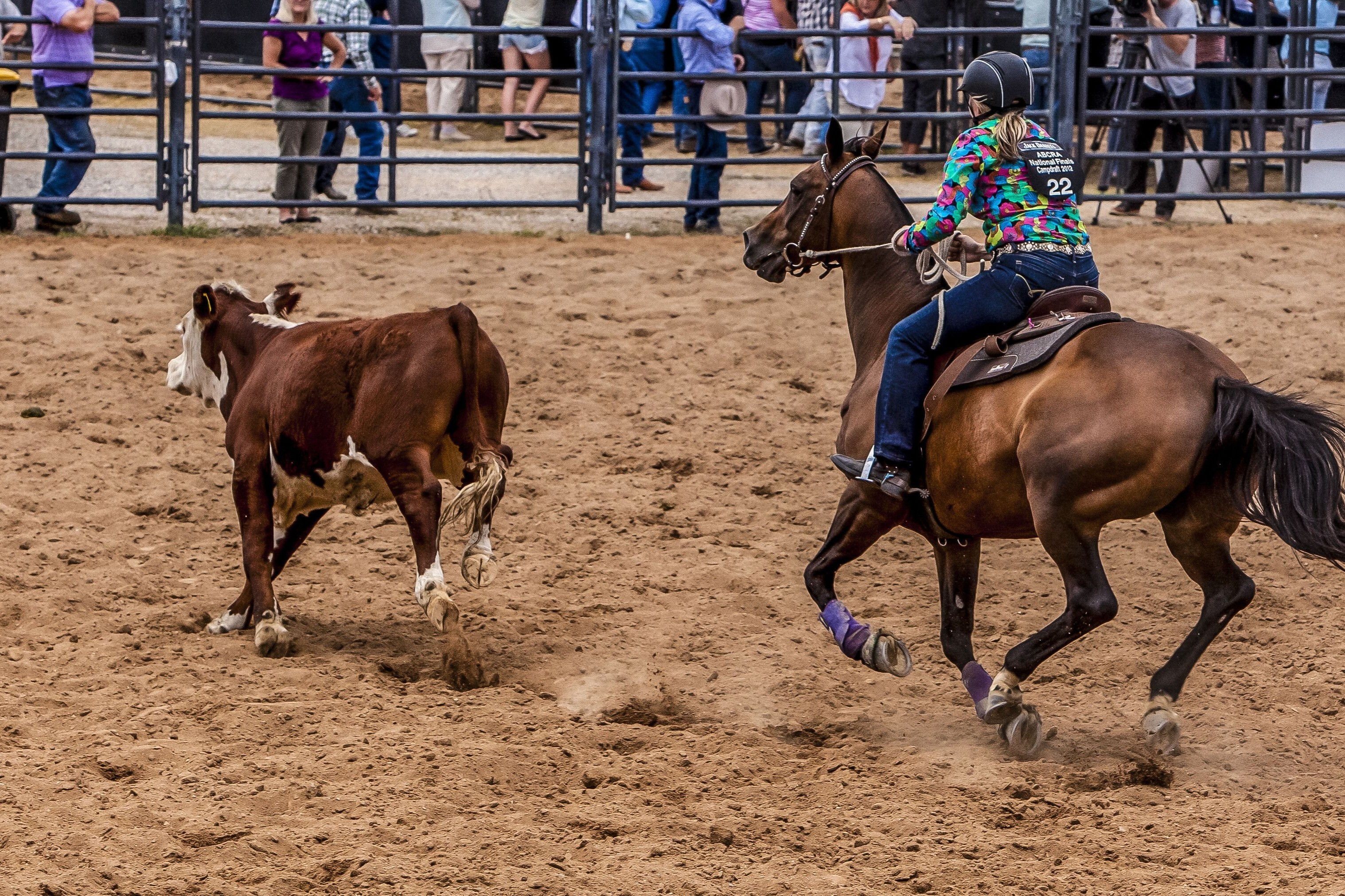 Tamworth Country Music Festival