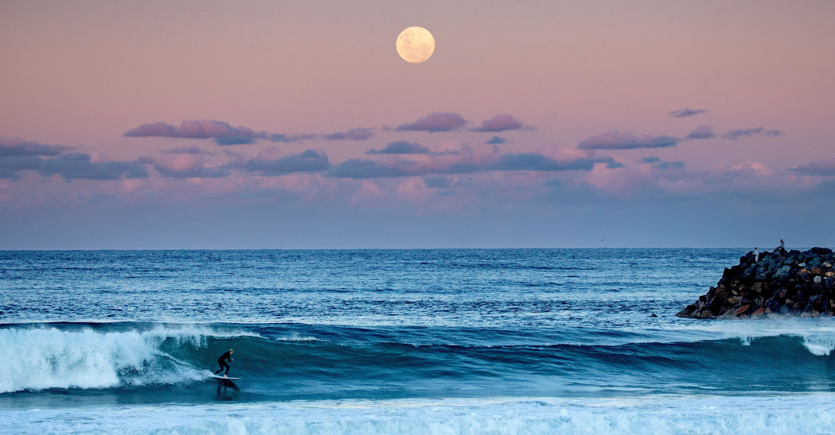 Surfer catching a wave at North Haven Beach, North Haven.